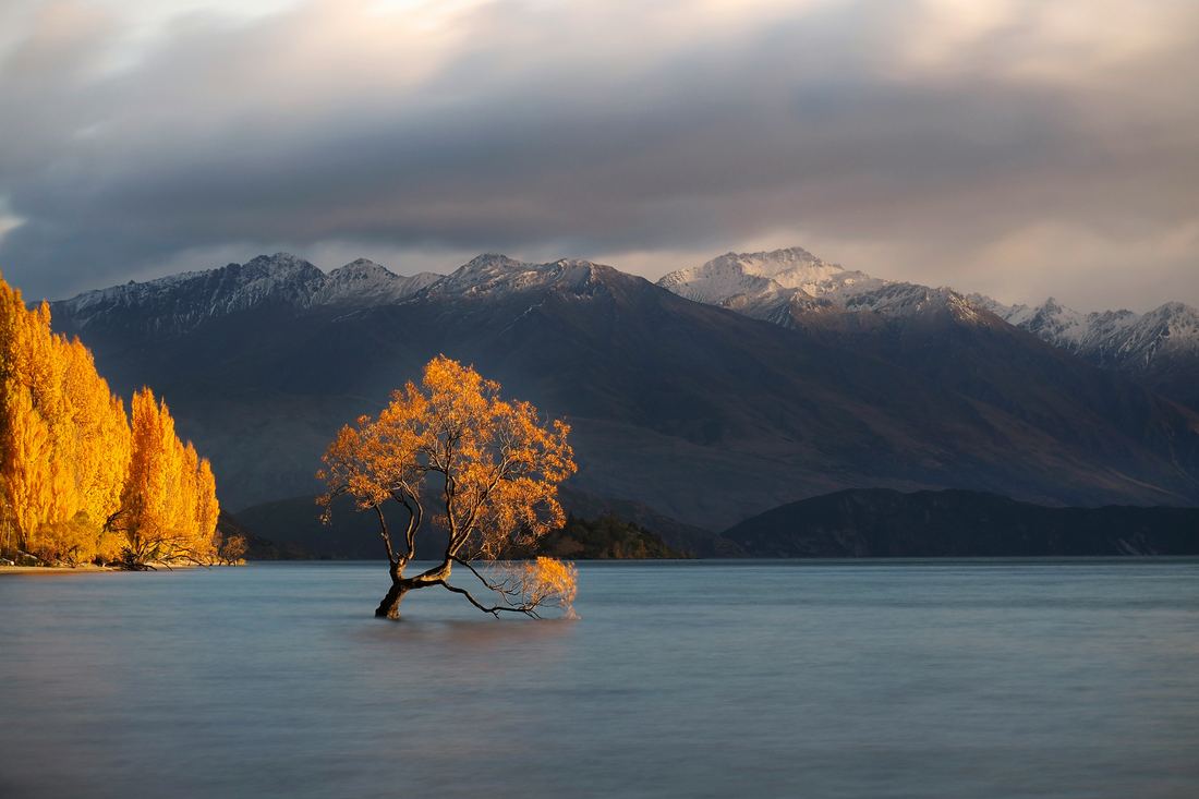 Wanaka — aerial view
